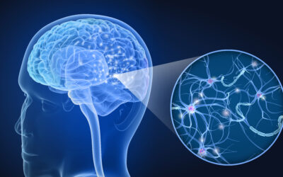 What is Neuroplasticity?