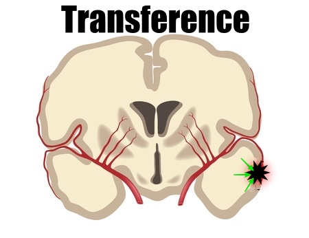 vector image of transference