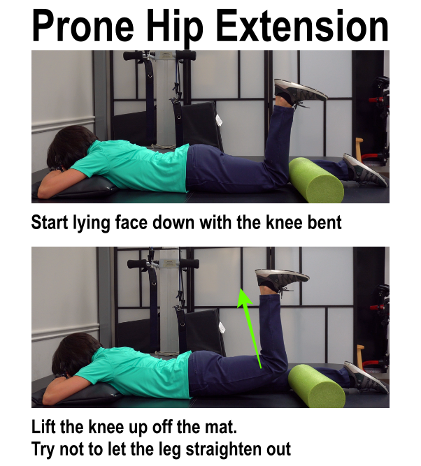 image of hamstring curl exercise