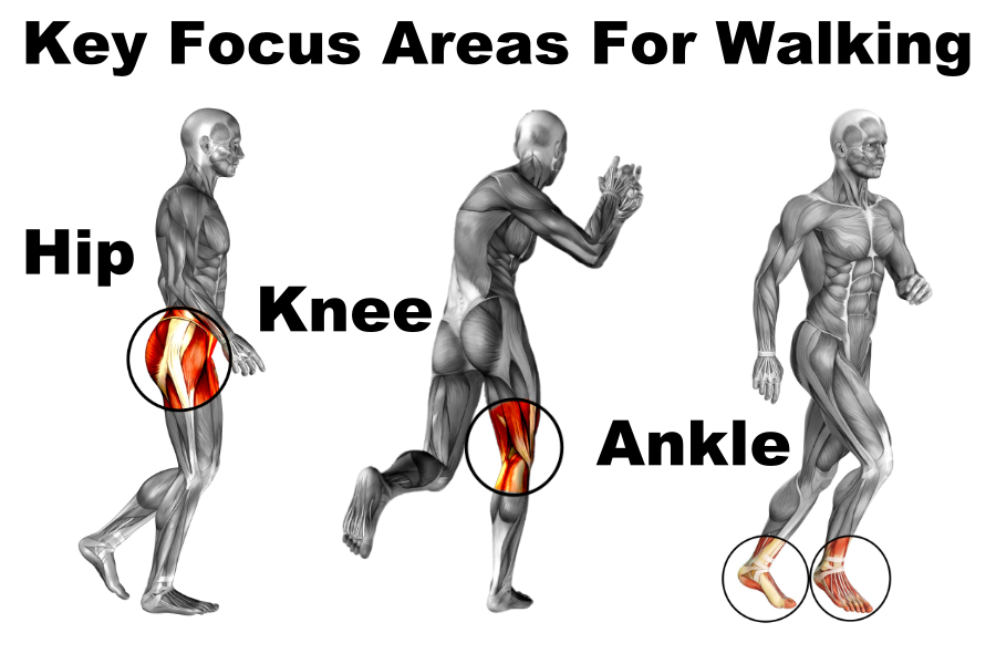 key focus areas for walking