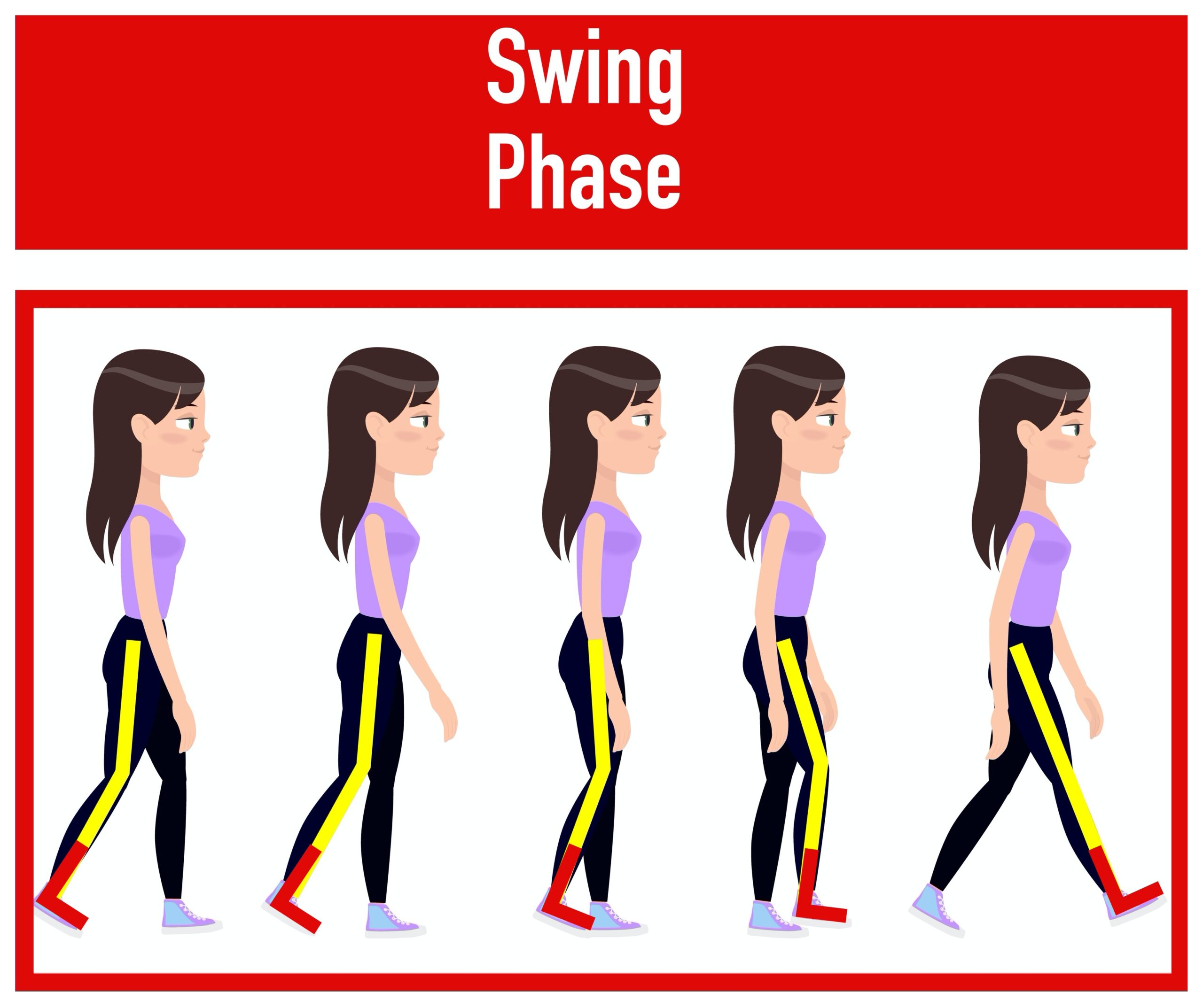 swinging phase of walking