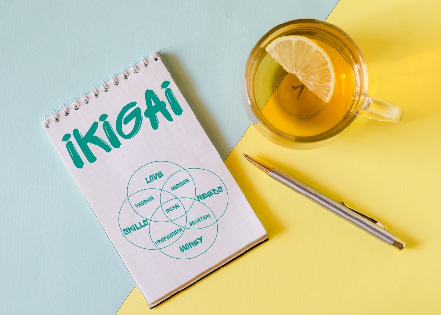 What is your Ikigai?