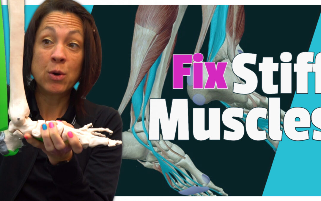 Understanding “stiff” muscles