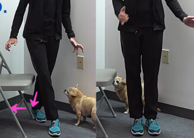 Side by side images of Tara Tobias. The right image shows she is performing a curtsy squat, bringing her left leg behind the right.