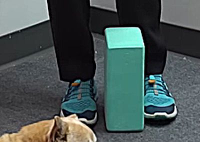 Image of Tara Tobias and a vertically positioned yoga block in front of her