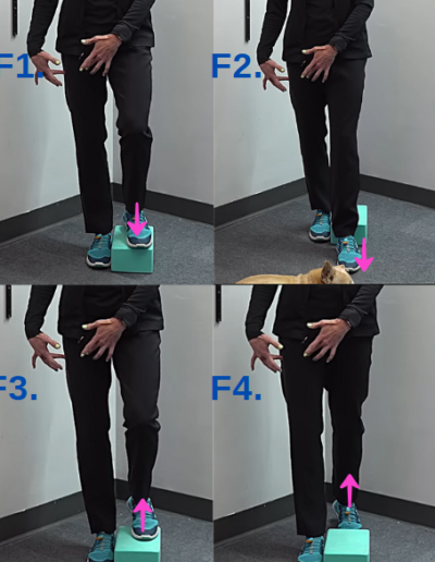 Four grid images of Tara Tobias. Upper left image shows she is stepping on the block with her left foot. Upper right image shows her left leg over the block. Lower left image shows her left foot back onto the block. Lower right shows her left foot is back to starting position behind the block.