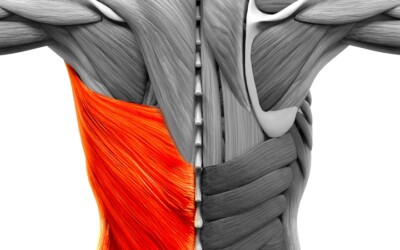 The Hidden Culprit: How the Latissimus Dorsi Limits Shoulder Recovery After Stroke